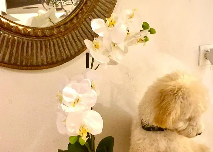 Green Rooms Ferrara 4*